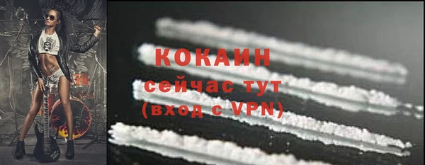 прущие грибы Армянск