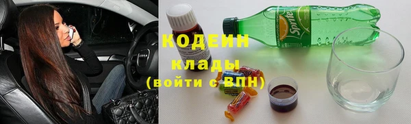 прущие грибы Армянск