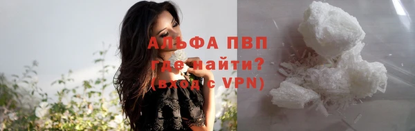 прущие грибы Армянск