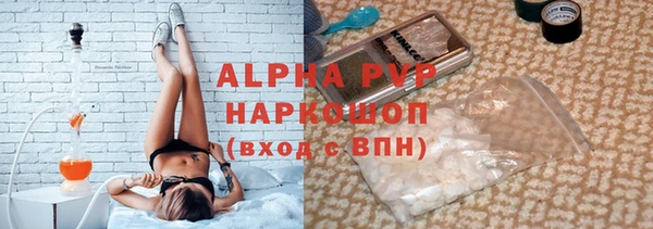 прущие грибы Армянск